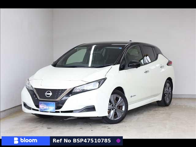 2021 Nissan Leaf