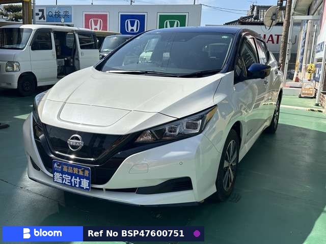 2021 Nissan Leaf
