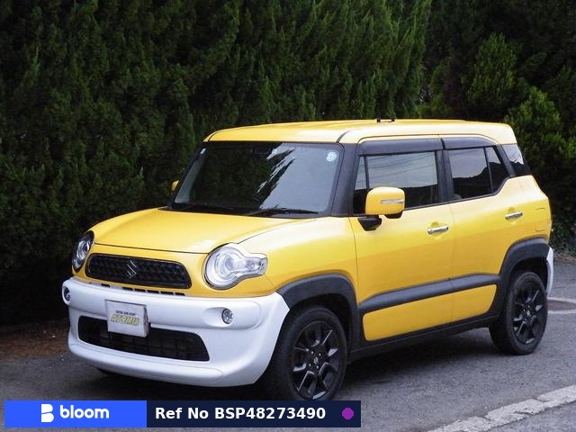 2019 Suzuki X BEE