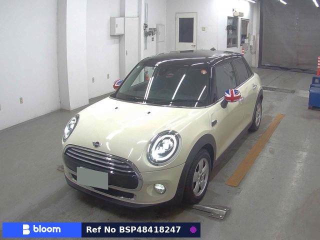 2019 MINI MINI