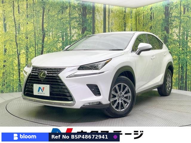 2019 Lexus NX