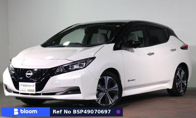 2021 Nissan Leaf