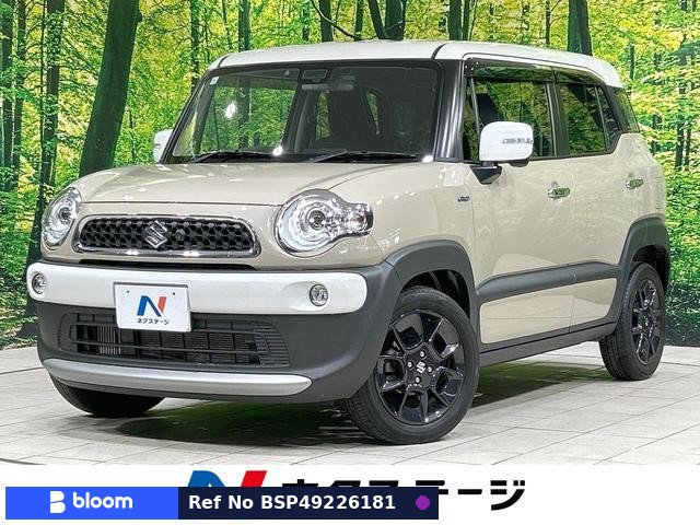 2018 Suzuki X BEE