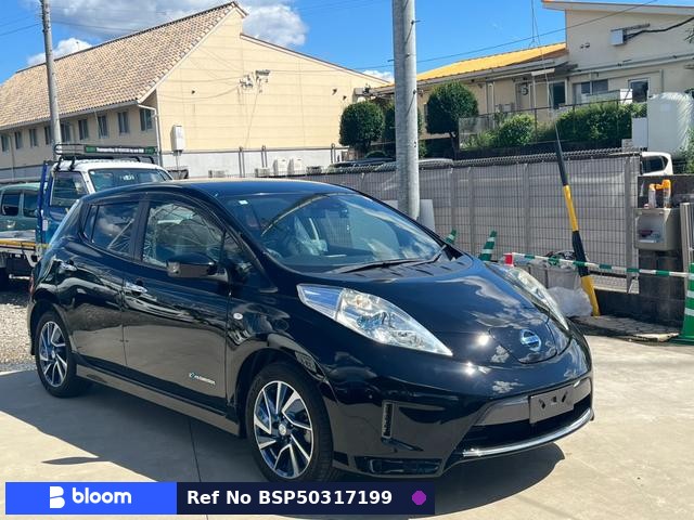 2016 Nissan Leaf