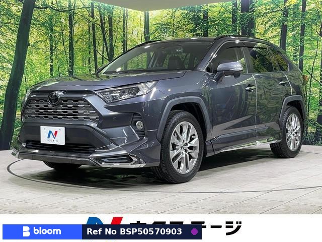 2019 Toyota RAV4