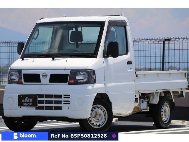 2010 Nissan Clipper Truck