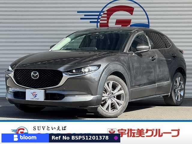 2019 Mazda CX-30