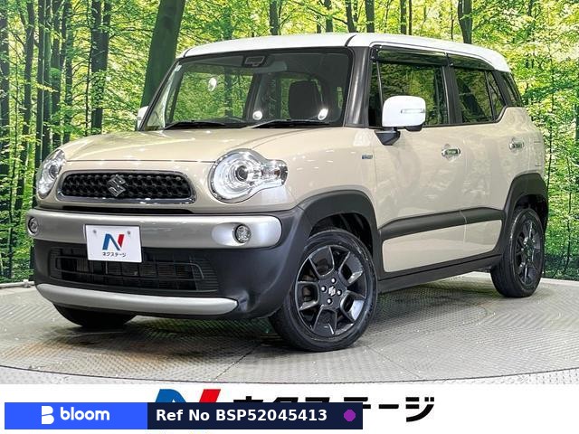 2019 Suzuki X BEE