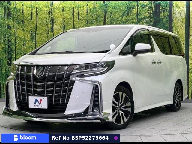 2019 Toyota Alphard