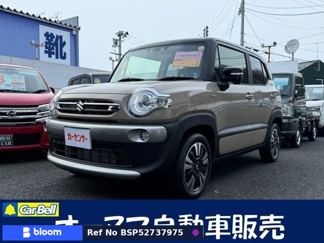 2024 Suzuki X BEE