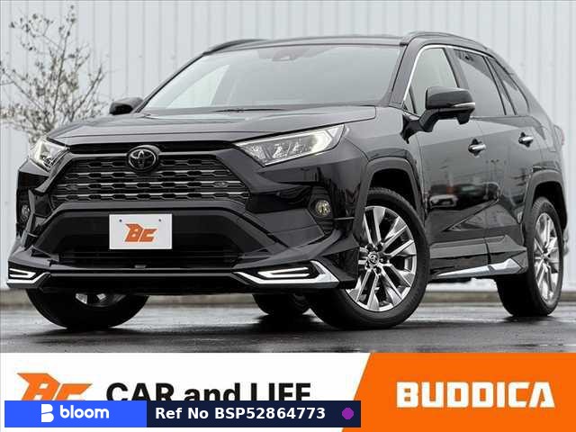 2019 Toyota RAV4