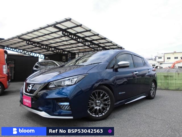 2019 Nissan Leaf