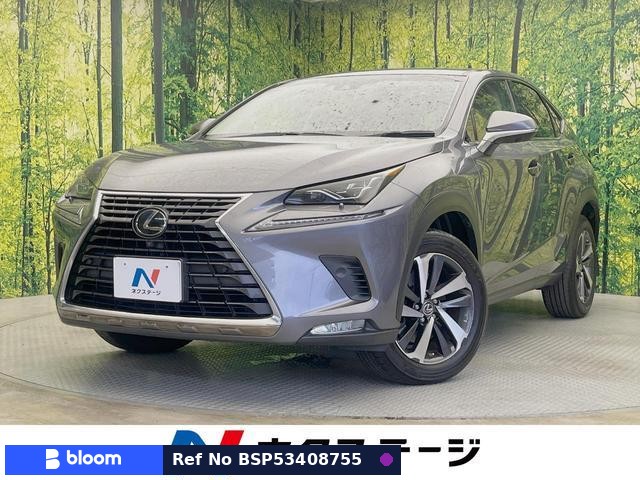 2018 Lexus NX