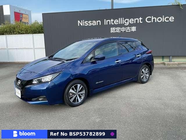 2021 Nissan Leaf