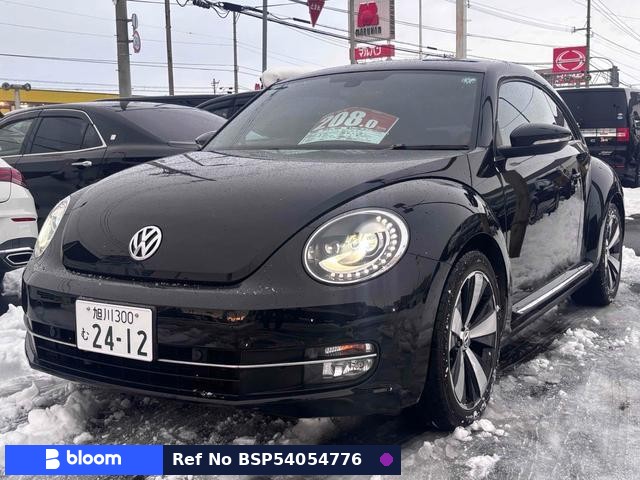 2014 Volkswagen THE Beetle