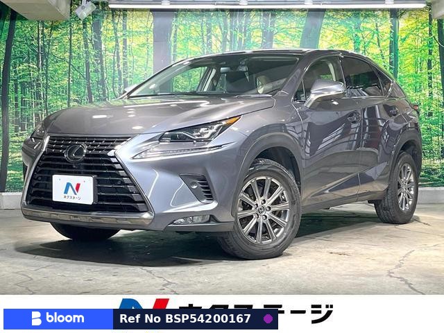 2019 Lexus NX
