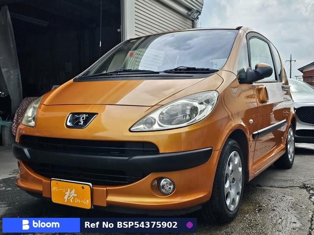 2007 Peugeot 1007