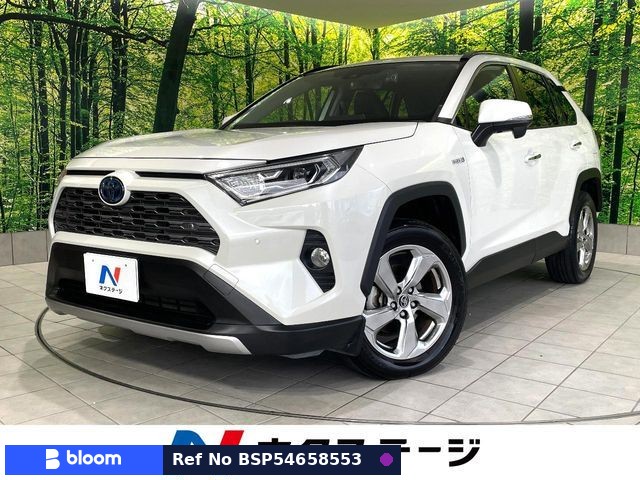2019 Toyota RAV4