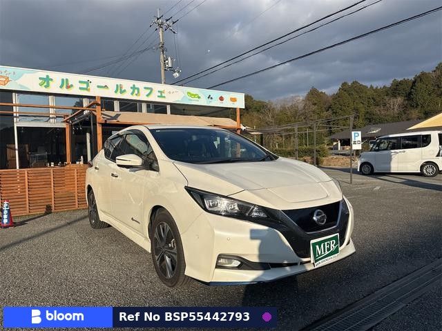 2019 Nissan Leaf
