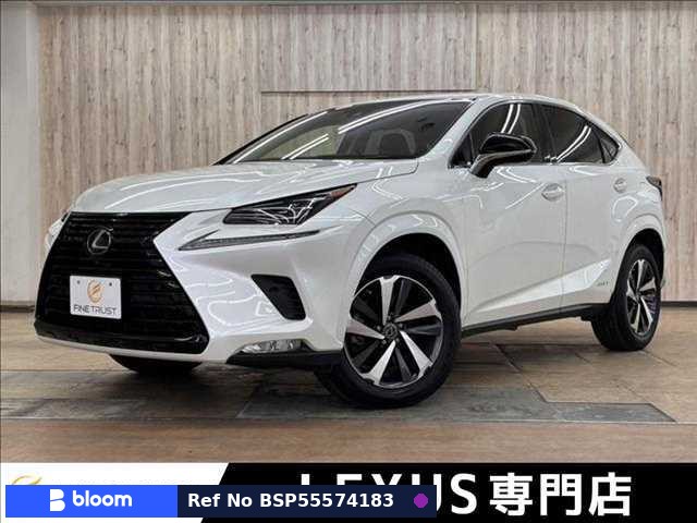 2019 Lexus NX