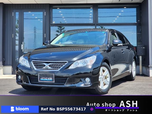 2010 Toyota Mark X