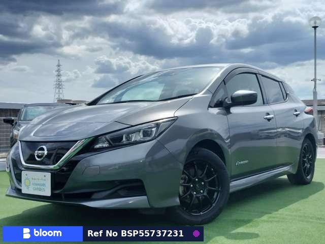 2018 Nissan Leaf