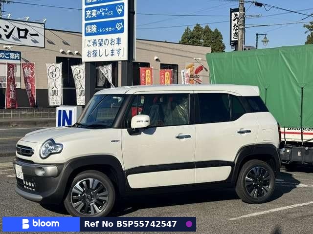 2025 Suzuki X BEE