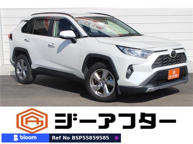 2020 Toyota RAV4