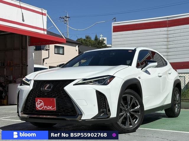2019 Lexus UX