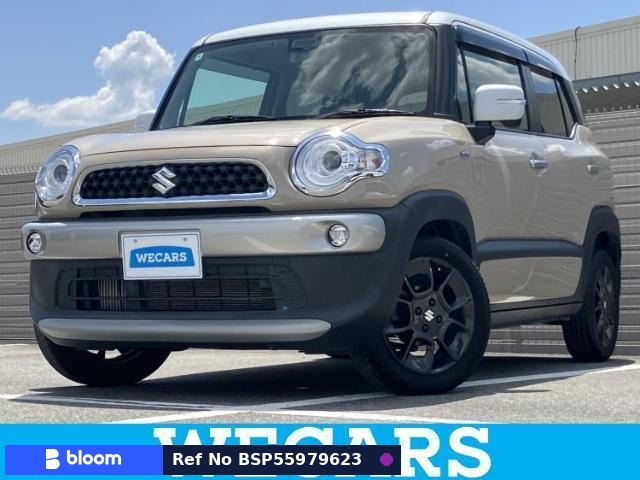 2018 Suzuki X BEE