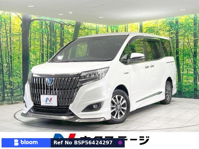 2019 Toyota Esquire