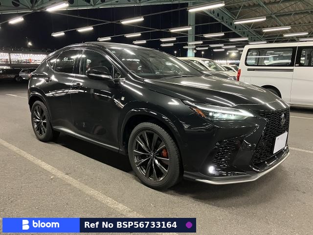 2025 Lexus NX