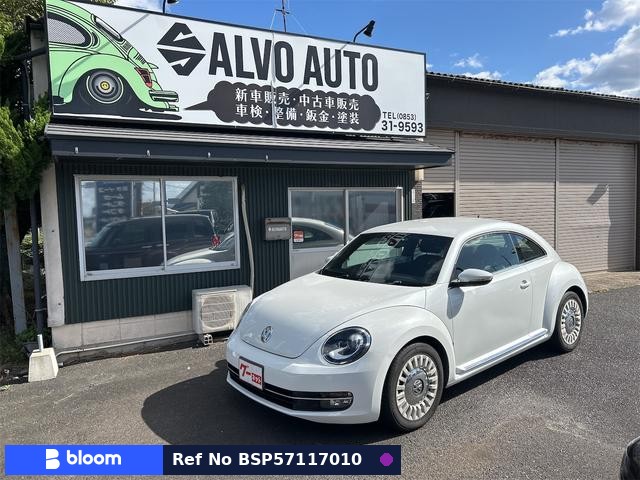 2015 Volkswagen THE Beetle