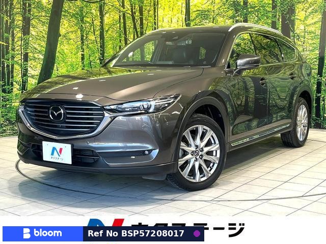 2018 Mazda CX-8