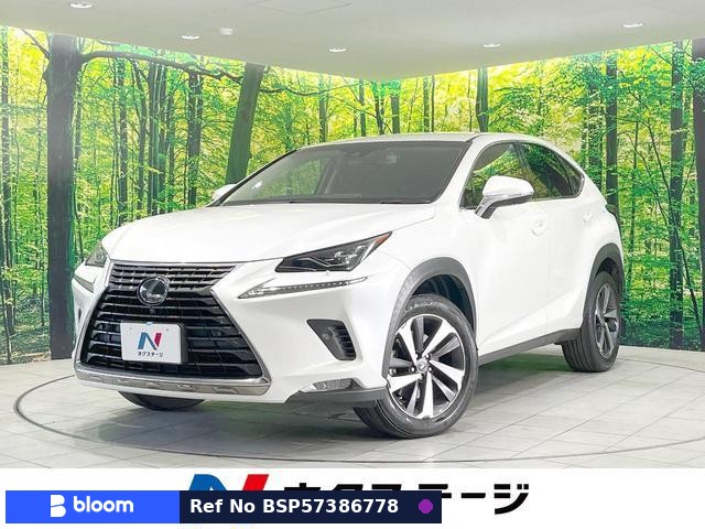 2018 Lexus NX