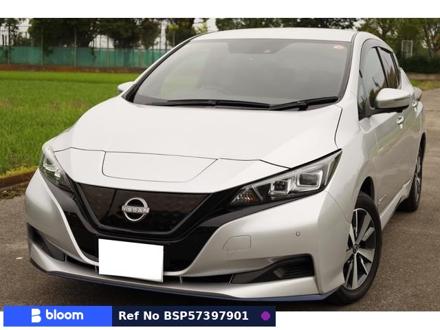 2021 Nissan Leaf