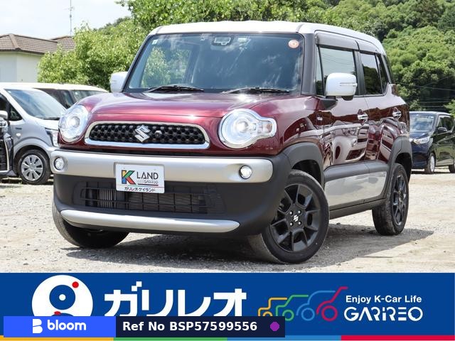 2019 Suzuki X BEE