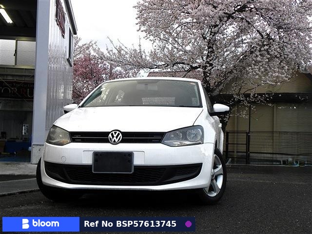 2013 Volkswagen Polo