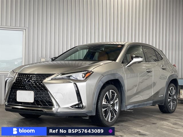 2019 Lexus UX