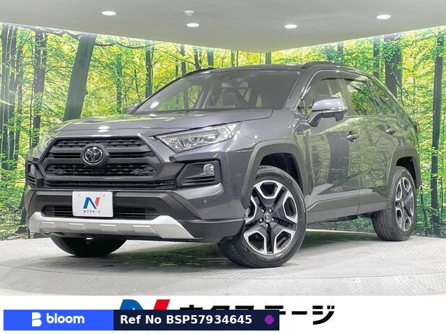 2019 Toyota RAV4
