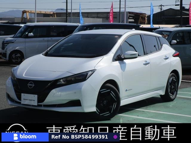 2024 Nissan Leaf