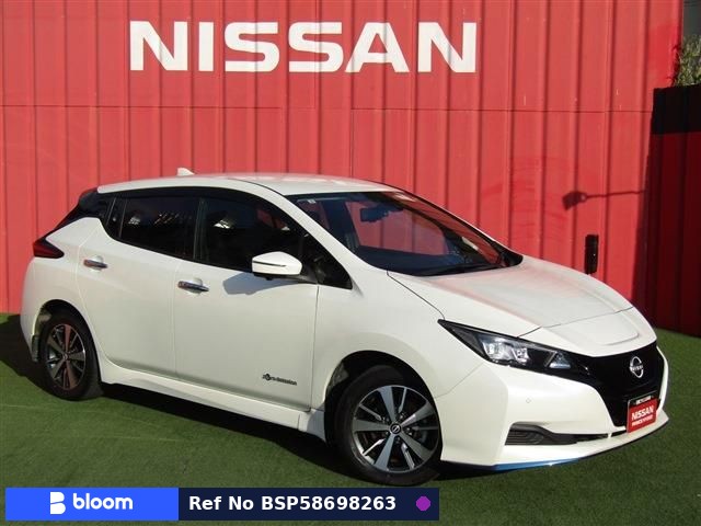 2021 Nissan Leaf