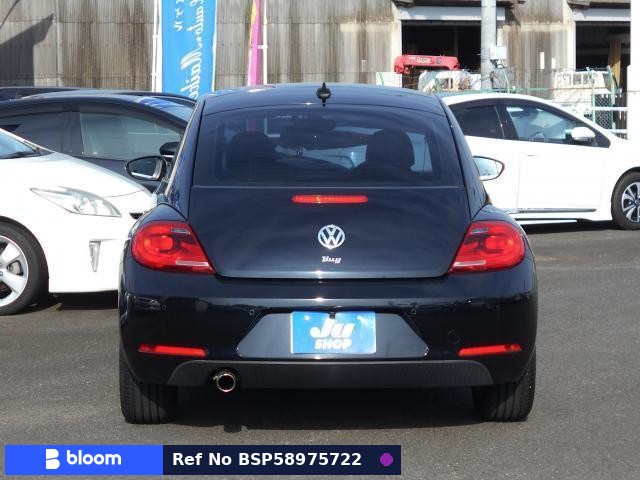 2014 Volkswagen THE Beetle