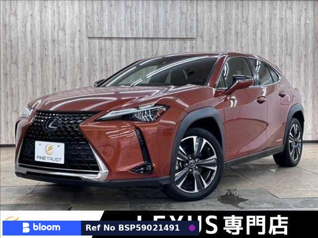 2018 Lexus UX