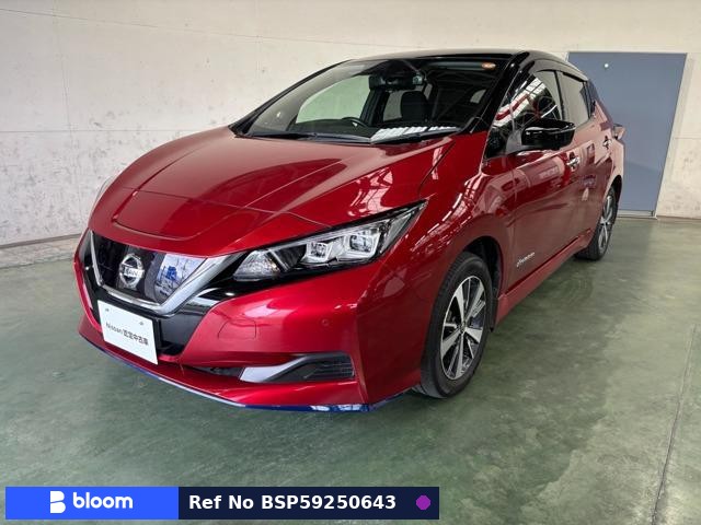 2019 Nissan Leaf