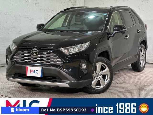 2019 Toyota RAV4