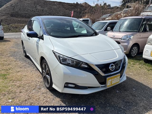 2019 Nissan Leaf