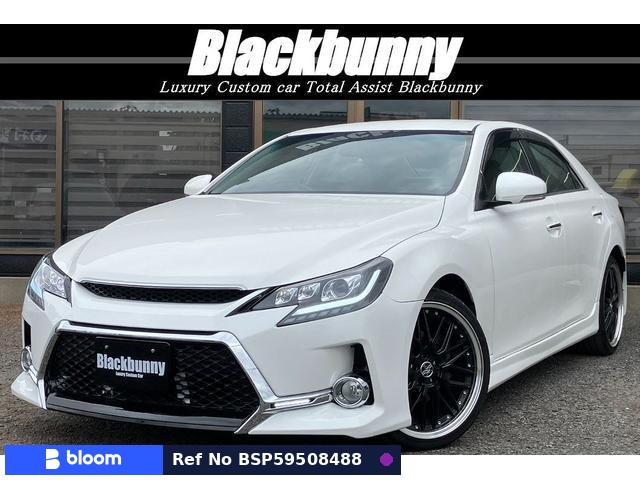 2010 Toyota Mark X