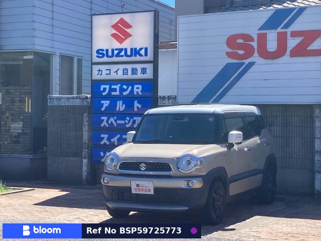 2018 Suzuki X BEE