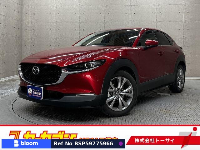 2019 Mazda CX-30